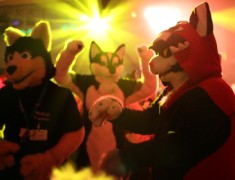 Eurofurence 20