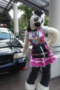 Eurofurence 20