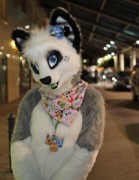 Eurofurence 20