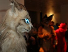 Eurofurence 20