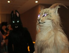 Eurofurence 20