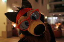 Eurofurence 20