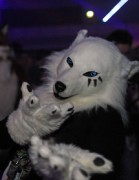 Eurofurence 21