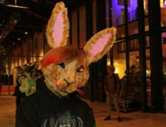 Eurofurence 21