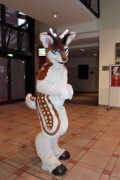 Eurofurence 21