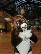 Eurofurence 21