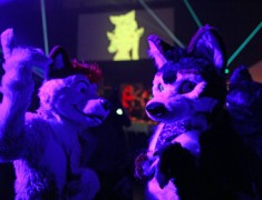 Eurofurence 21