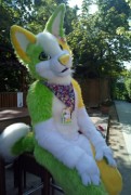 Eurofurence 21