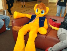 Eurofurence 21