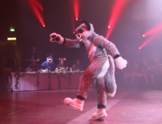 Eurofurence 21