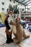 Eurofurence 21