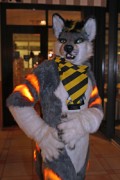 Eurofurence 21