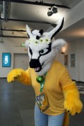 Eurofurence 22