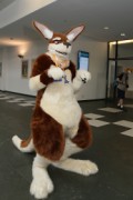 Eurofurence 22