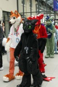 Eurofurence 22