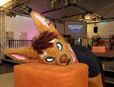 Eurofurence 22