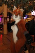 Eurofurence 22