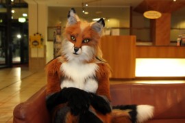 Eurofurence 22