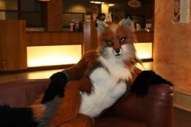 Eurofurence 22