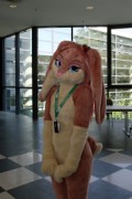 Eurofurence 22