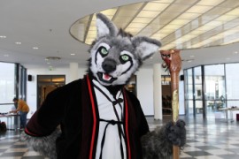 Eurofurence 22