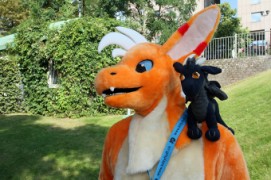 Eurofurence 22