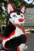 Eurofurence 22