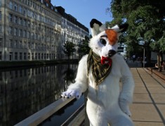 Eurofurence 22