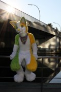 Eurofurence 22