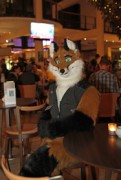 Eurofurence 22