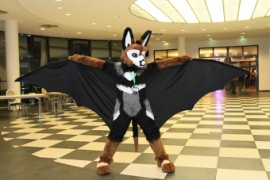 Eurofurence 22