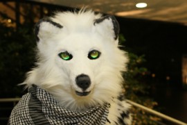 Eurofurence 22