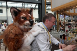 Eurofurence 22