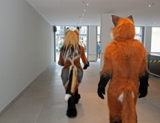 Eurofurence 22