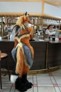 Eurofurence 22