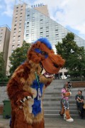 Eurofurence 22