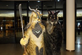 Eurofurence 22