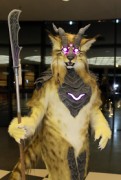 Eurofurence 22