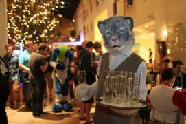 Eurofurence 22