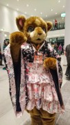 Eurofurence 23