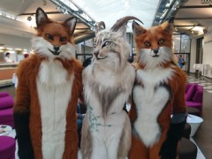 Eurofurence 23