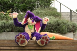 Eurofurence 23