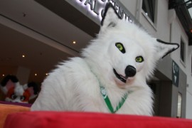 Eurofurence 23