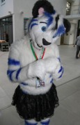 Eurofurence 23