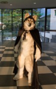 Eurofurence 23