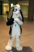 Eurofurence 23