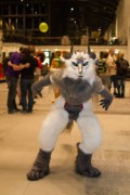 Eurofurence 23