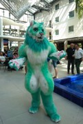 Eurofurence 24