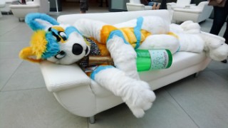 Eurofurence 24