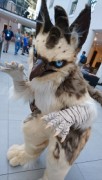 Eurofurence 24